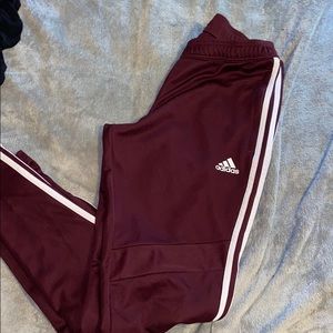 Climacool adidas  pants